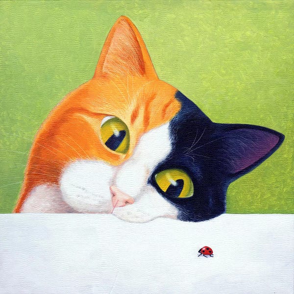 Calico Cats: Cat With Ladybird by Vicky Mount