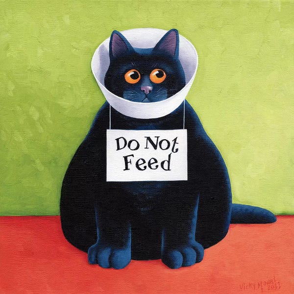 Black Cats: Do Not Feed by Vicky Mount
