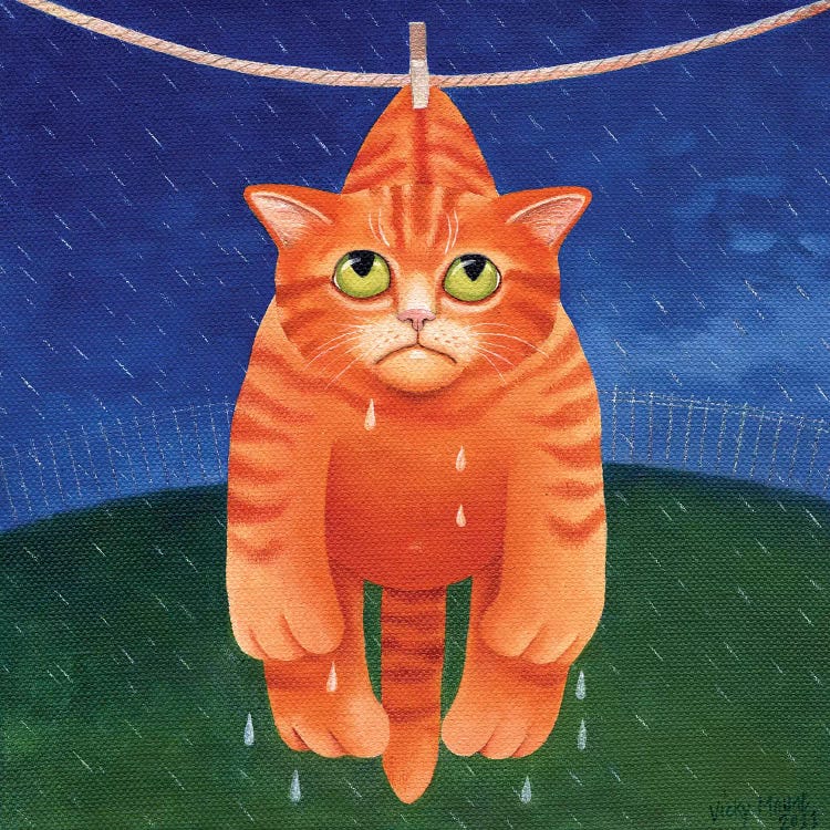 Drying In The Rain