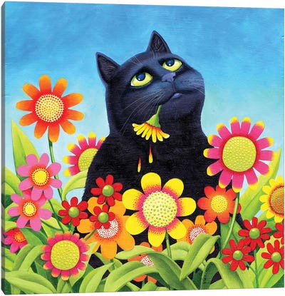 Expecting Rain Canvas Art Print - Black Cat Art