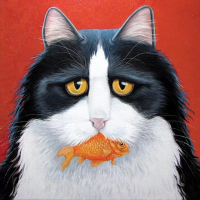 Fin by Vicky Mount canvas print