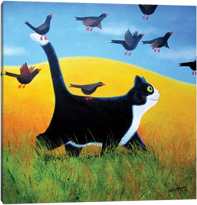 Going Places II Canvas Art Print - Tuxedo Cat Art
