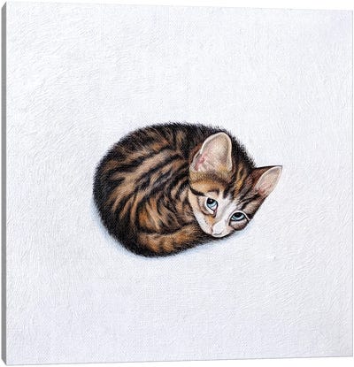 Kitkat Canvas Art Print - Tabby Cat Art