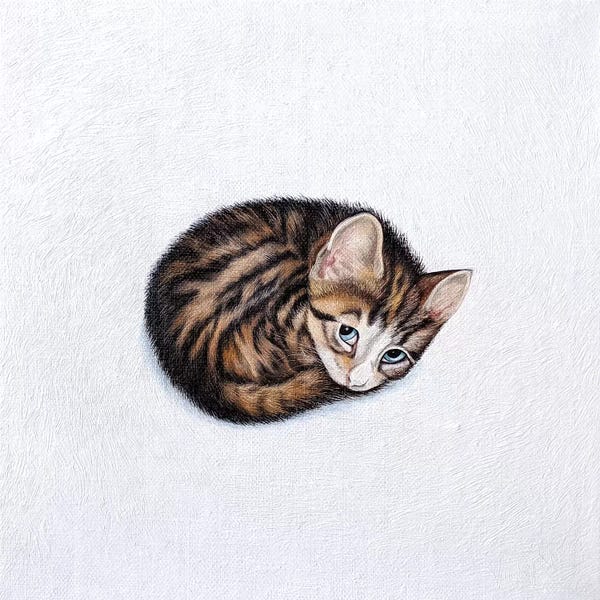 Kittens: Kitkat by Vicky Mount
