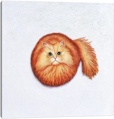 Mira Canvas Art Print - Orange Cat Art