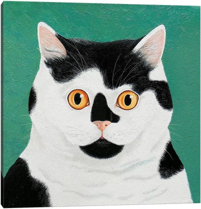 Moomoo Canvas Art Print - Calico Cat Art