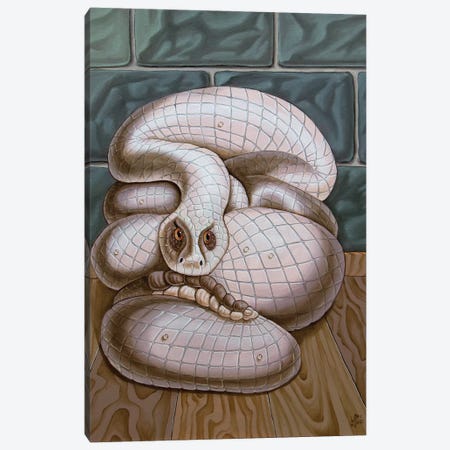 Snake Canvas Print #VMO74} by Victor Molev Canvas Print