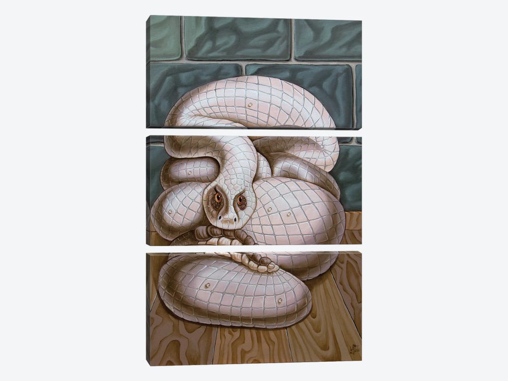 Snake by Victor Molev 3-piece Canvas Art Print