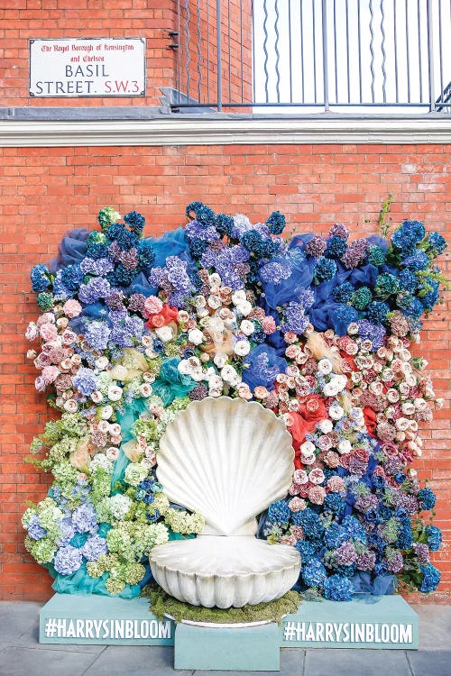 Seashell Bloom by Victoria Metaxas wall art