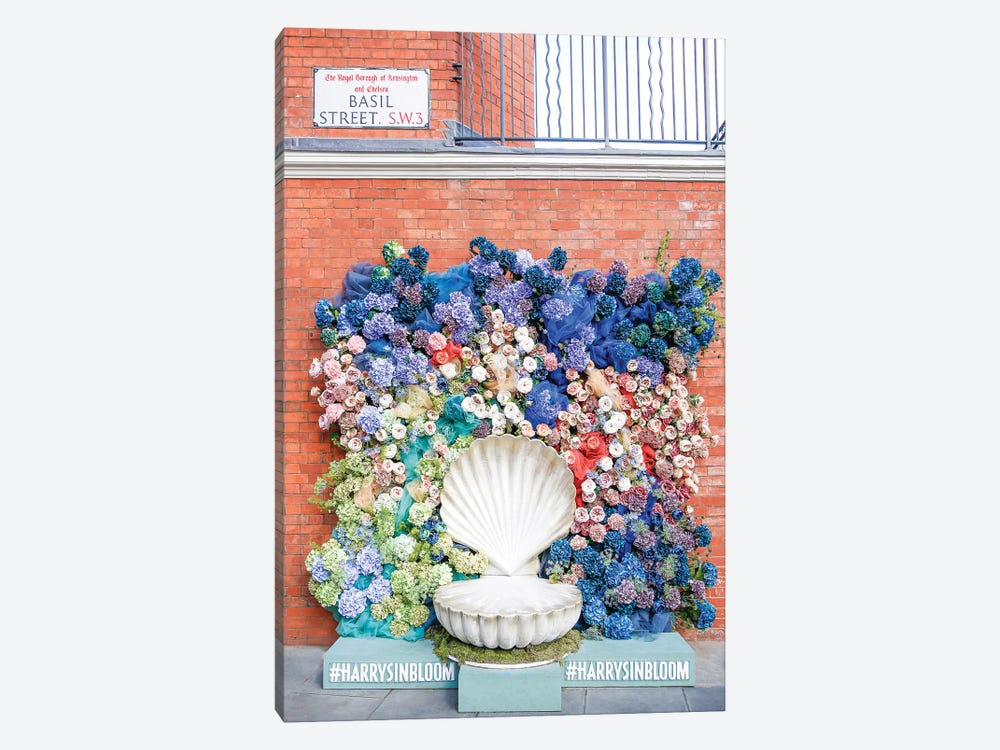 Seashell Bloom by Victoria Metaxas 1-piece Canvas Wall Art