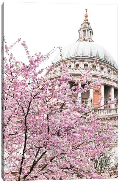 St Paul's Blossom Canvas Art Print - Victoria Metaxas
