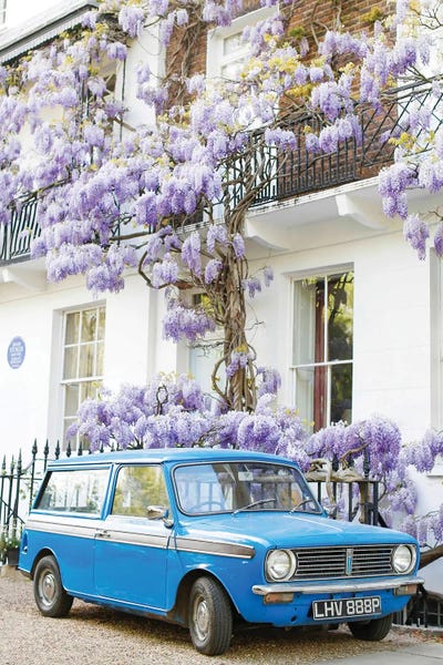Wisteria Hysteria by Victoria Metaxas art print