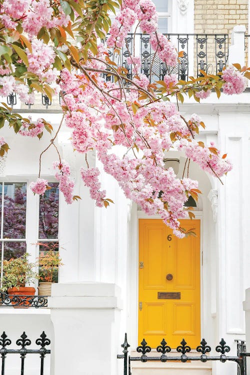 Yellow Door Blooms by Victoria Metaxas wall art