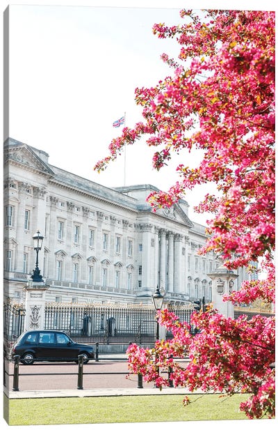 Buckingham Blossom Canvas Art Print - Buckingham Palace