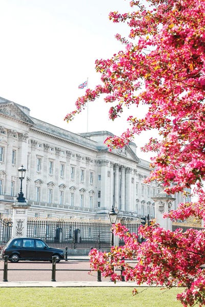 London: Buckingham Blossom by Victoria's Stories