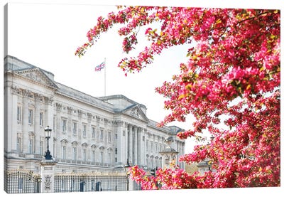 Buckingham In Bloom Canvas Art Print - Castle & Palace Art