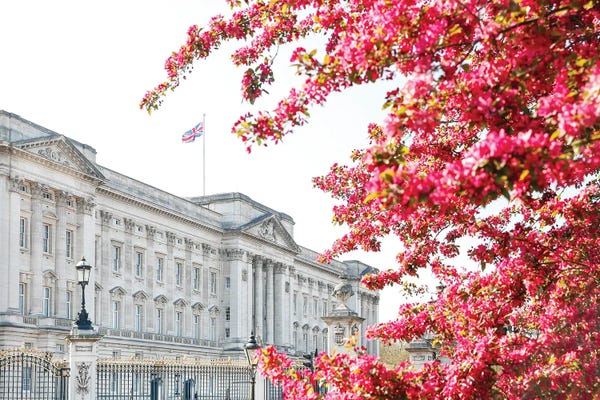 London: Buckingham In Bloom by Victoria's Stories