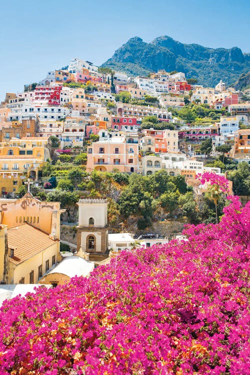 Pink Flowers In Positano