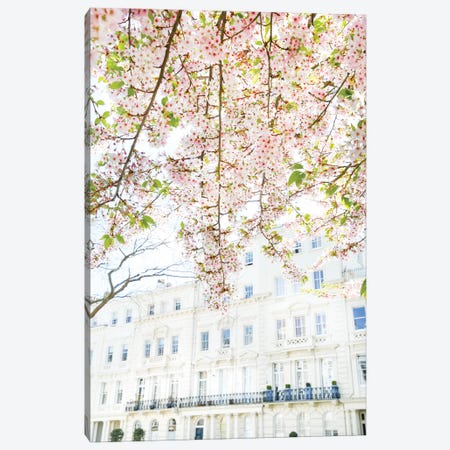 Cherry Blossom Sky Canvas Print #VMX19} by Victoria Metaxas Art Print