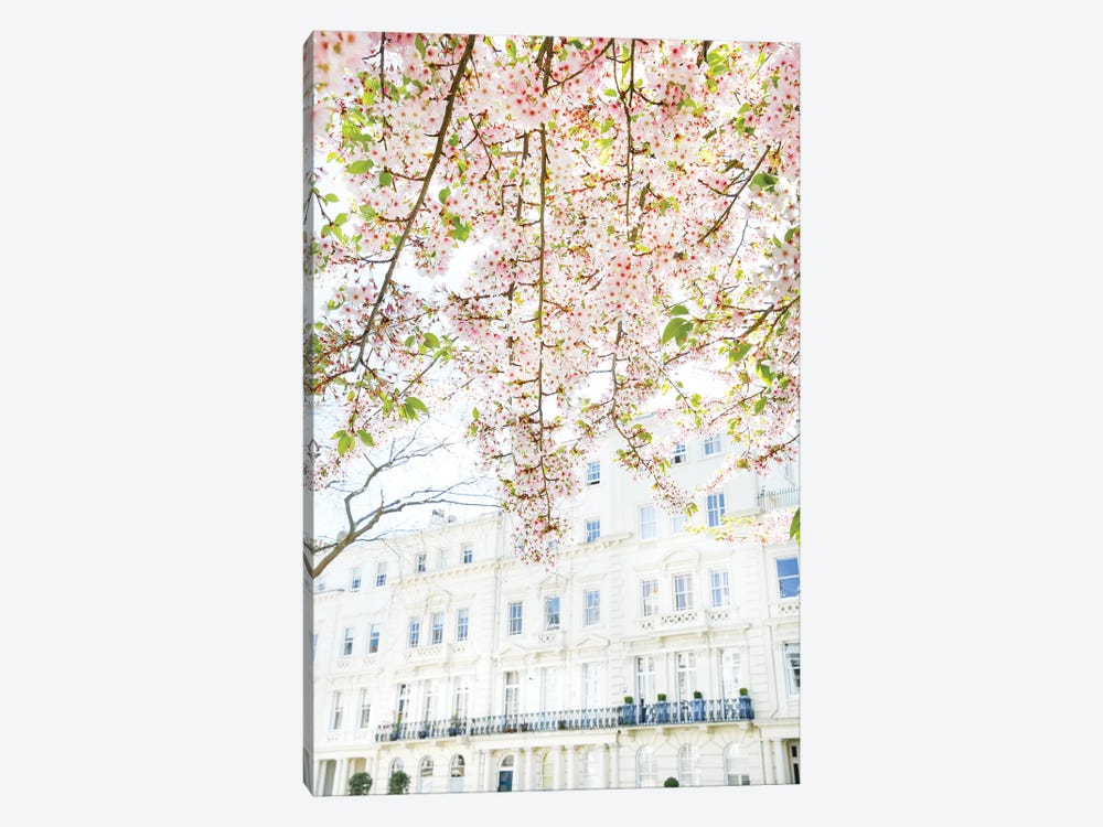Cherry Blossom Sky by Victoria Metaxas 1-piece Canvas Art