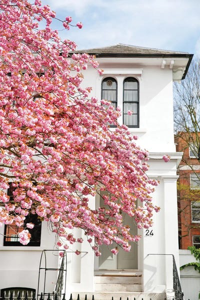 Victoria's Stories: Cherry Pink Blossom by Victoria's Stories