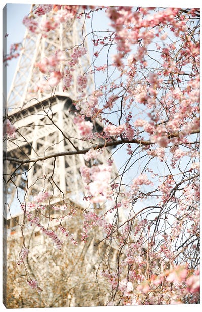 Eiffel Blossom Canvas Art Print - Victoria Metaxas
