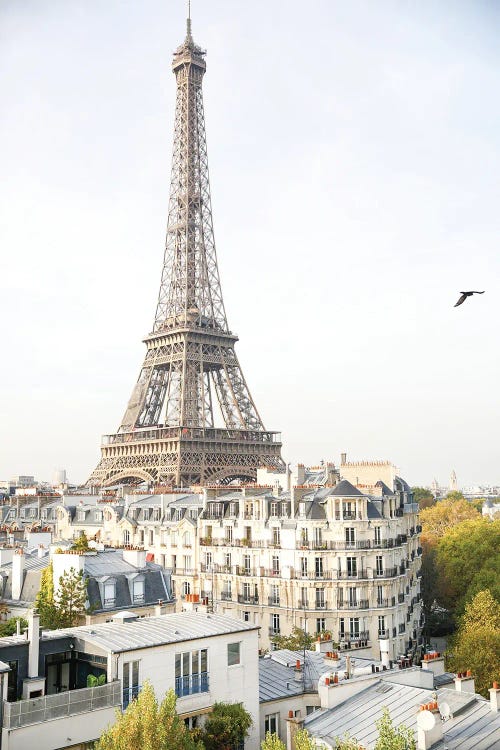 Eiffel Dusk