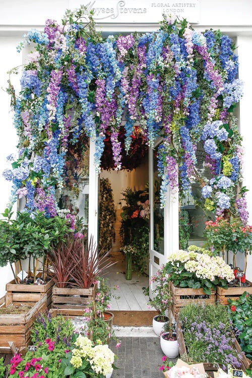 Floral Fantasy by Victoria Metaxas wall art