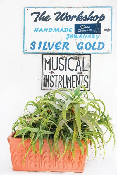 Victoria's Stories: Greek Island Cactus by Victoria's Stories