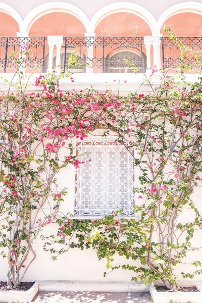 L'Amour De La Nature by Victoria Metaxas art print