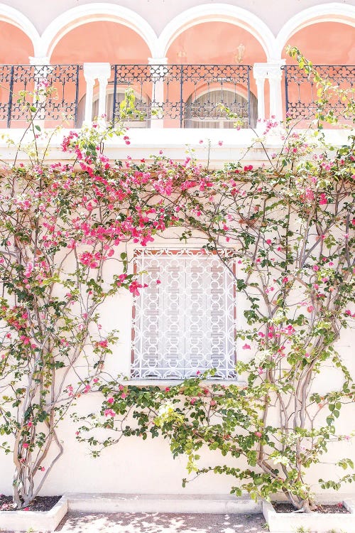 L'Amour De La Nature by Victoria Metaxas wall art