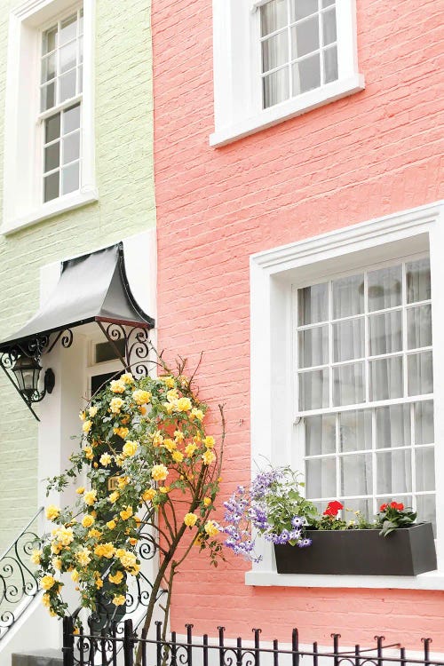 Lime Peach Rose by Victoria Metaxas wall art