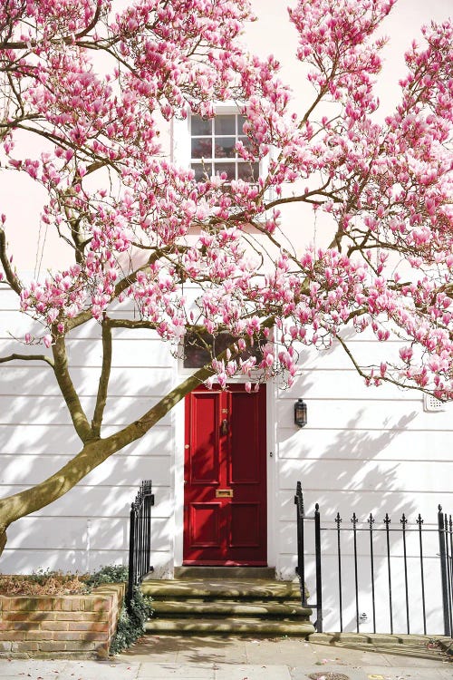 Little Red Door