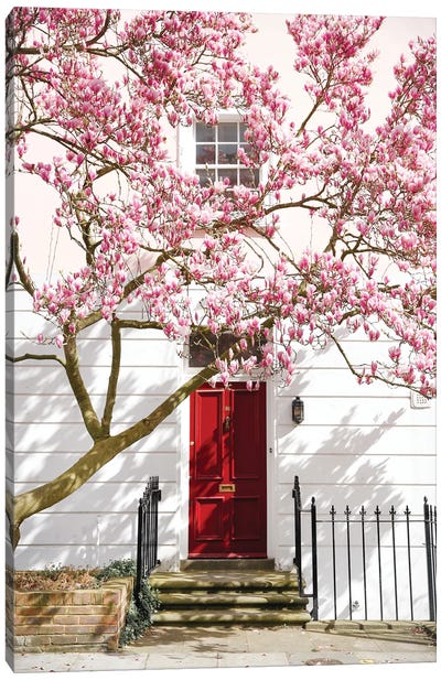 Little Red Door Canvas Art Print - Victoria Metaxas