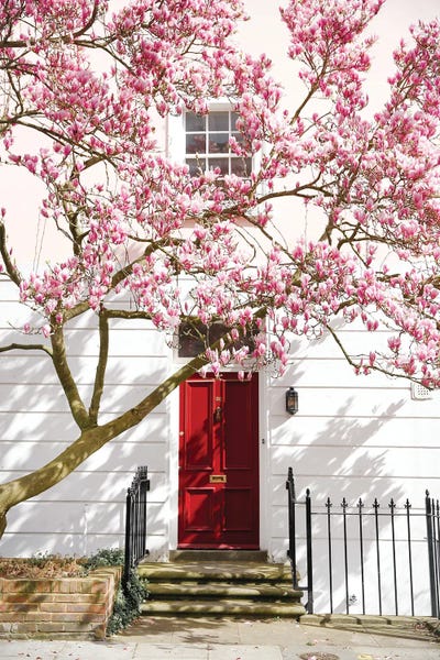 Little Red Door