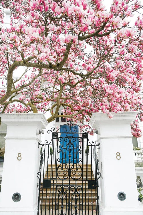 London Magnolia Blues by Victoria Metaxas wall art