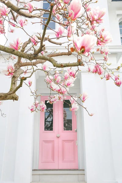 Magnolia Pink Door by Victoria Metaxas metal wall art
