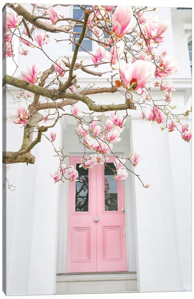 Magnolia Pink Door Canvas Art Print - Door Art