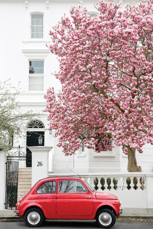 Magnolia Red Fiat by Victoria Metaxas wall art