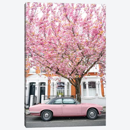 Pink Car Bloom Canvas Print #VMX76} by Victoria Metaxas Canvas Artwork