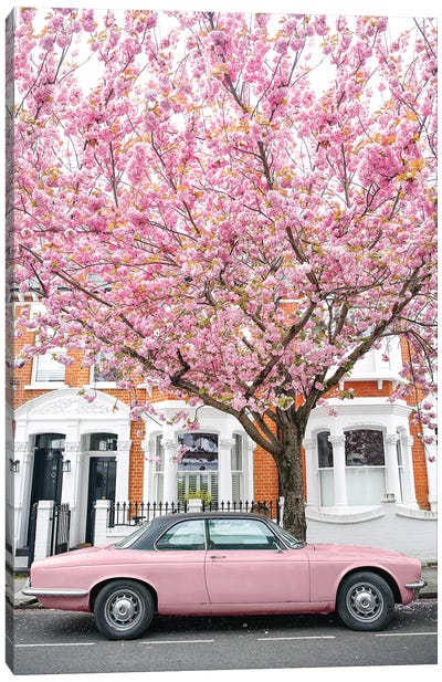 Pink Car Bloom Canvas Art Print - Victoria Metaxas