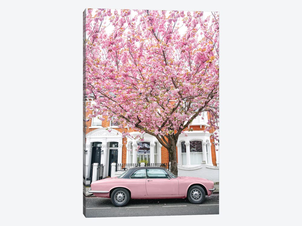 Pink Car Bloom by Victoria Metaxas 1-piece Canvas Print