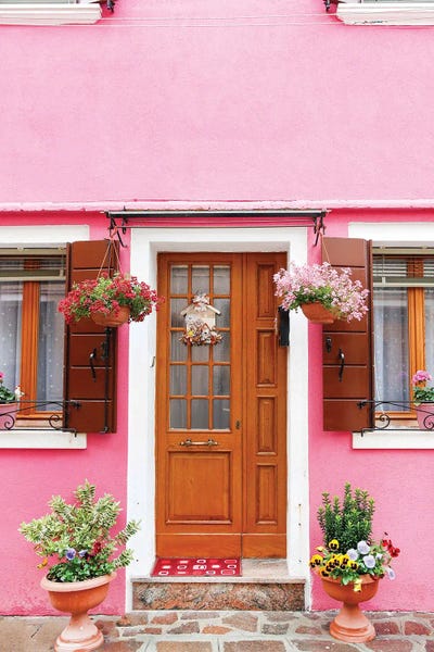 Quaint Pink Home by Victoria Metaxas art print