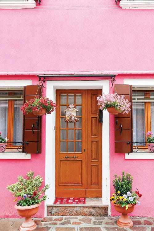 Quaint Pink Home by Victoria Metaxas wall art