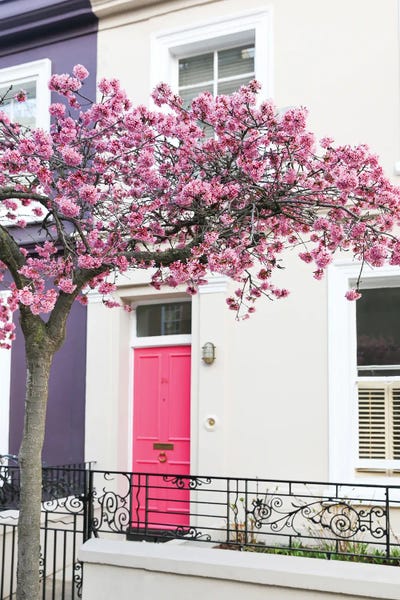 Sakura Doorway London by Victoria Metaxas art print