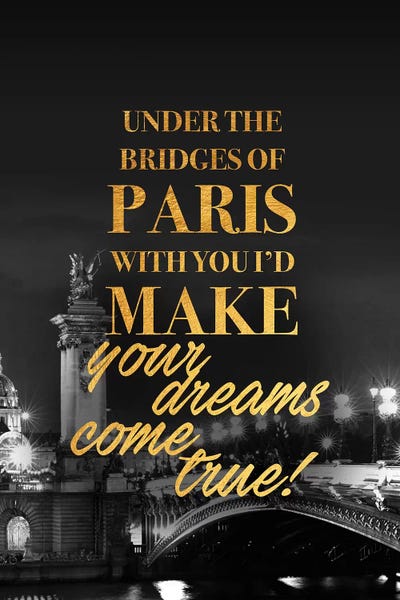 Alexandre Venancio: Bridges Of Paris by Alexandre Venancio