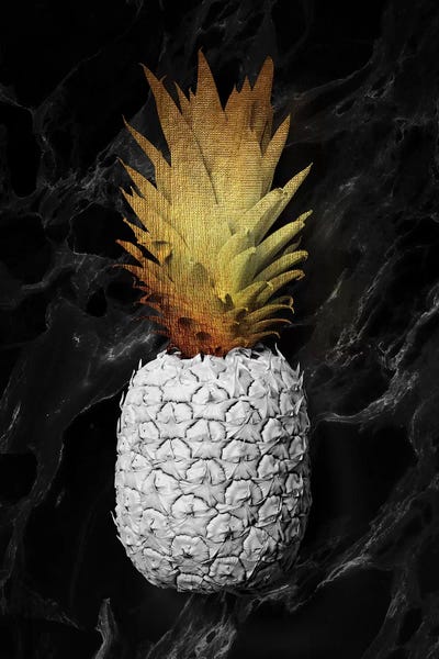 Alexandre Venancio: Still Life II by Alexandre Venancio