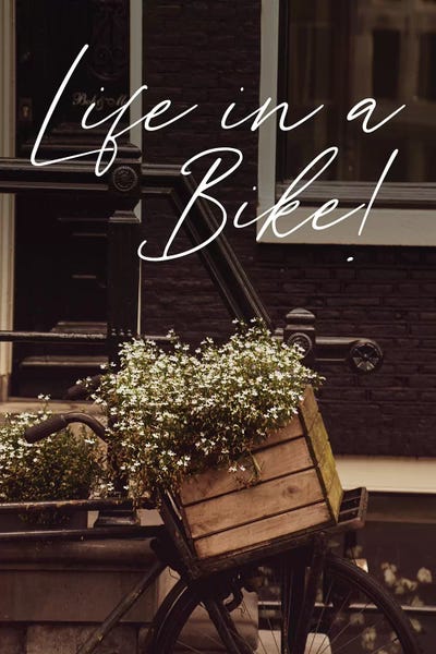 Amsterdam: Life In A Bike by Alexandre Venancio