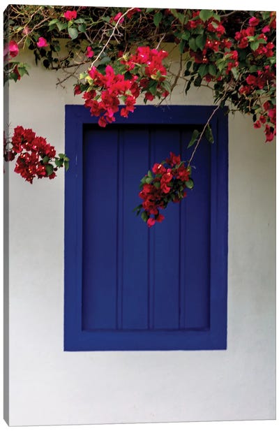 Bahia Blue Window Canvas Art Print - Alexandre Venancio