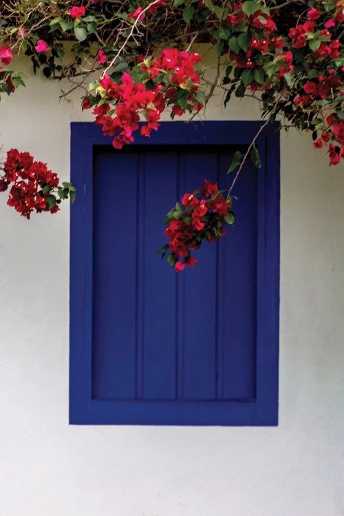 Bahia Blue Window